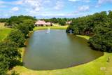 9792 Bella Drive - Photo 48