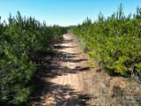 01 Robinsonville Road - Photo 10