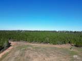 01 Robinsonville Road - Photo 5