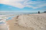24101 Perdido Beach Boulevard - Photo 38