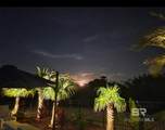 31232 Pine Run Drive - Photo 47
