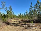  Robert White Road - Photo 15