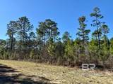  Robert White Road - Photo 25