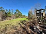  Robert White Road - Photo 29