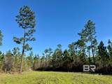  Robert White Road - Photo 30