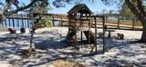 352 Buena Vista Drive - Photo 18