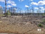 0 Highway 287 - Photo 4