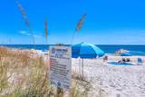 23044 Perdido Beach Boulevard - Photo 29