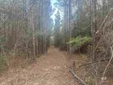22544 Lechner Road - Photo 41