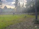 22544 Lechner Road - Photo 43