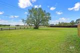 25875 Barbi Lane - Photo 36