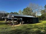 12923 Wiggins Road - Photo 15