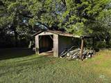 12923 Wiggins Road - Photo 8