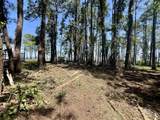 12171 Strong Road - Photo 18