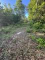 0 Charlie Head Road - Photo 2
