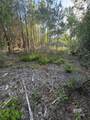 0 Charlie Head Road - Photo 3
