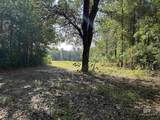 0 Lechner Road - Photo 10