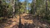 0 Lechner Road - Photo 12
