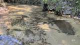 0 Lechner Road - Photo 15