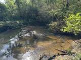 0 Lechner Road - Photo 18