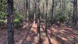 0 Lechner Road - Photo 20