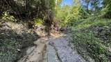 0 Lechner Road - Photo 23