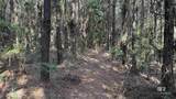 0 Lechner Road - Photo 25