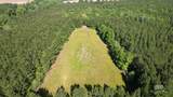 0 Lechner Road - Photo 27