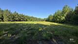 0 Lechner Road - Photo 4