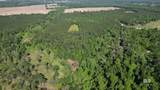 0 Lechner Road - Photo 8