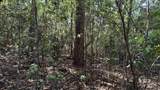 1950 Wilma Road - Photo 11