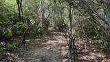 1950 Wilma Road - Photo 12