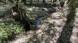 1950 Wilma Road - Photo 14