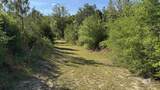 1950 Wilma Road - Photo 34