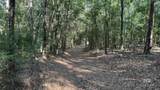 1950 Wilma Road - Photo 39