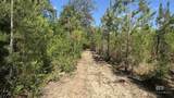 1950 Wilma Road - Photo 8
