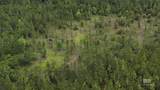 Lot 4 & 5 Lonnie Hadley Road - Photo 7