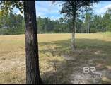  Steelwood Ridge Road - Photo 5
