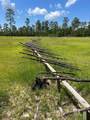 11529 Thistledown Loop - Photo 45