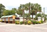 28173 Migratory Way - Photo 30