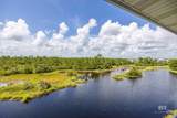 24101 Perdido Beach Boulevard - Photo 5