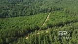 17000 Block Highway 41 - Photo 13