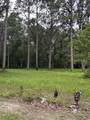 10901 Hall Drive - Photo 3