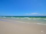 25020 Perdido Beach Boulevard - Photo 19