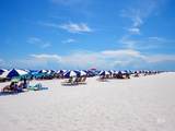 25020 Perdido Beach Boulevard - Photo 20