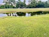  Cypress Lake Drive - Photo 12