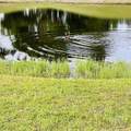  Cypress Lake Drive - Photo 15
