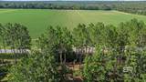 Lot 6 County Road 62 - Photo 7