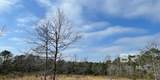 10765 Mary Ann Beach Road - Photo 2