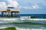 26115 Perdido Beach Boulevard - Photo 47